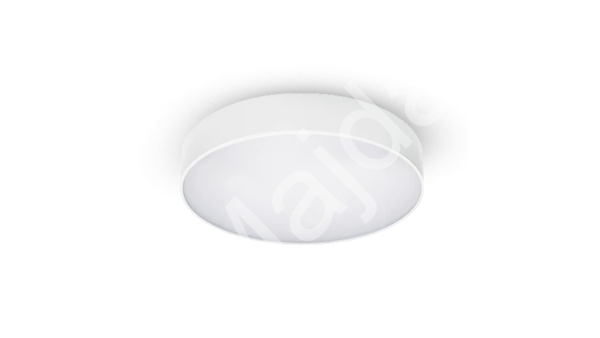 Stropní přisazené svítidlo AMICA LED 41 cm 25 W bílá (1)