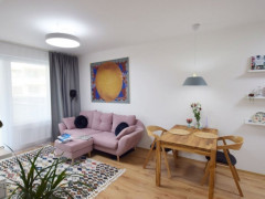 AMICA BÍLÁ stropní závěsné svítidlo (13)