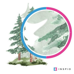 Inspio Samolepky na zeď dětské - Jehličnaté stromy